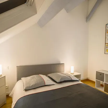 Le Duplex Troyen - 5 Min Hypercentre - Ideal Groupe - Parking Gratuit Appartamento